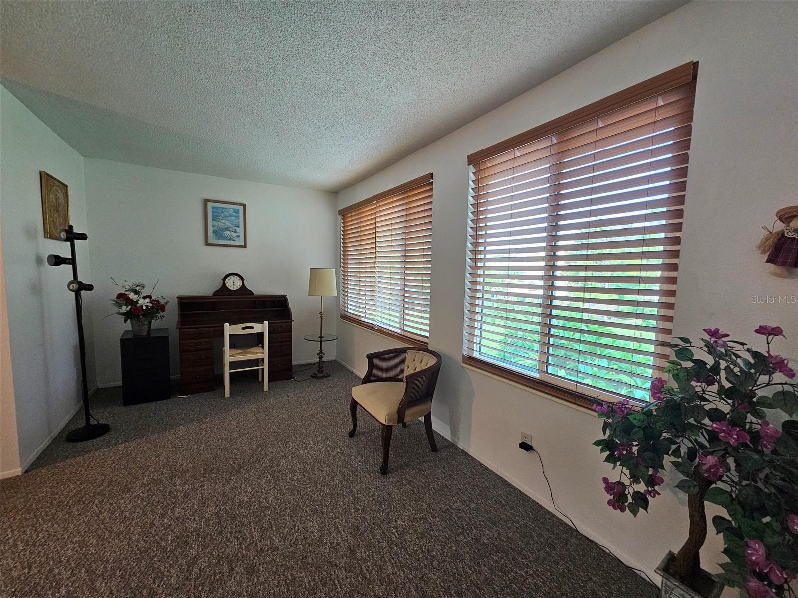 2331 Finlandia Ln #37 Property Photo 22