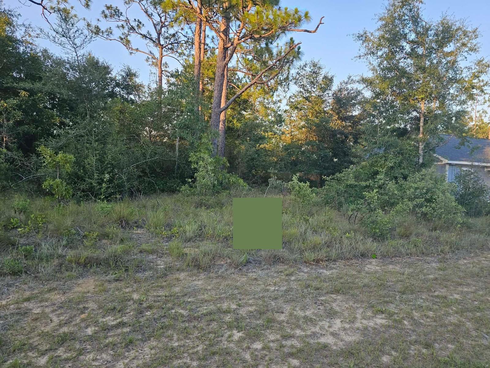 Lot 12 Shenandoah Blvd Property Photo 1