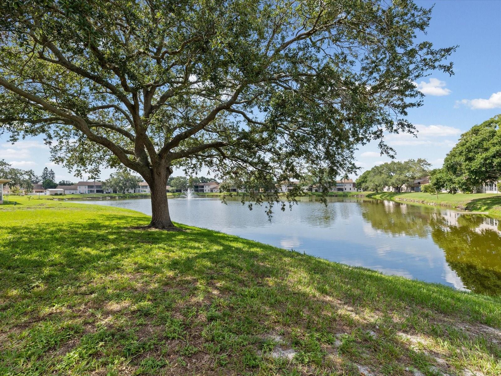 3806 Staysail Ln Property Photo 6