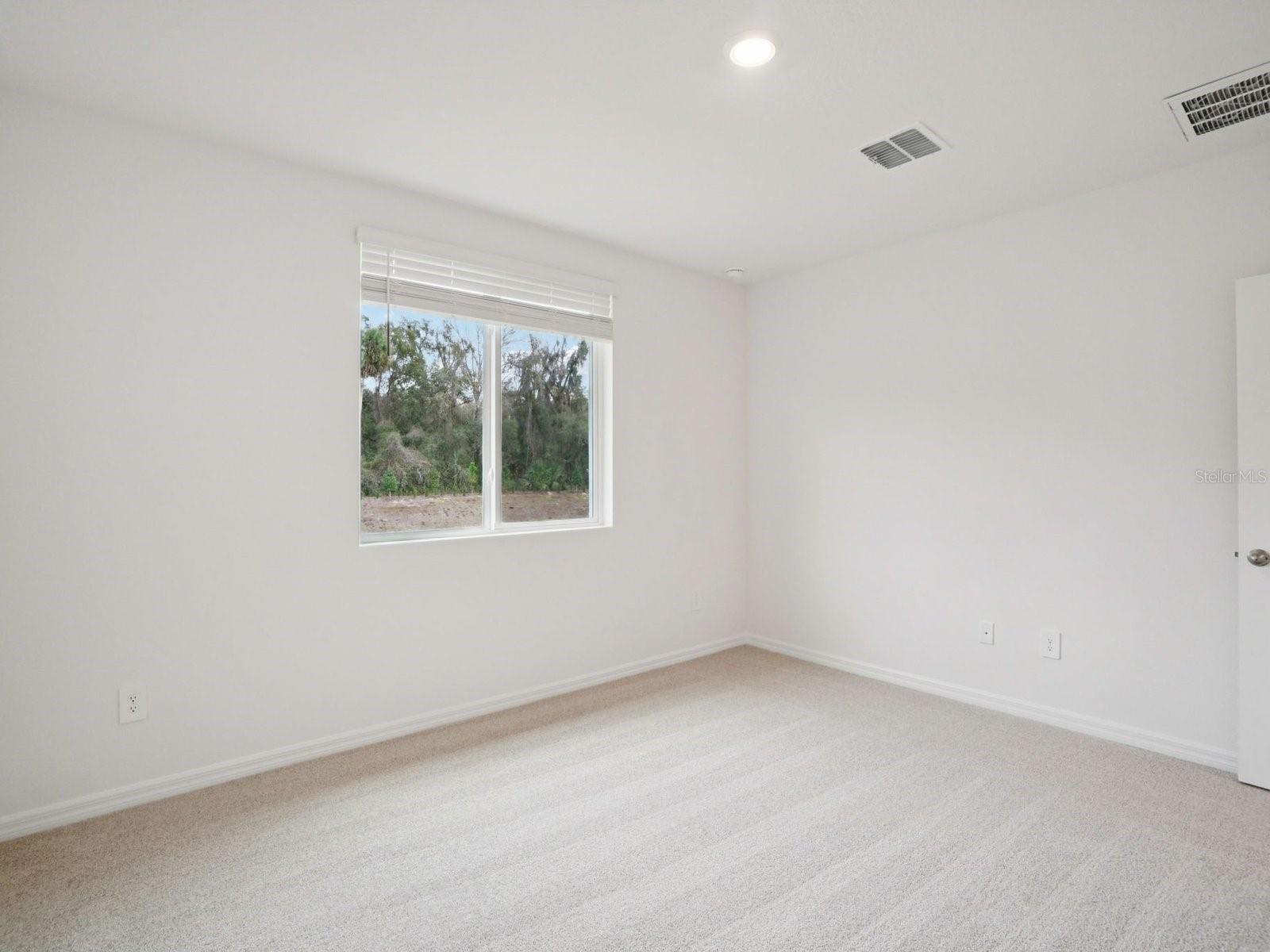 17661 Olive Thorn Dr Property Photo 12