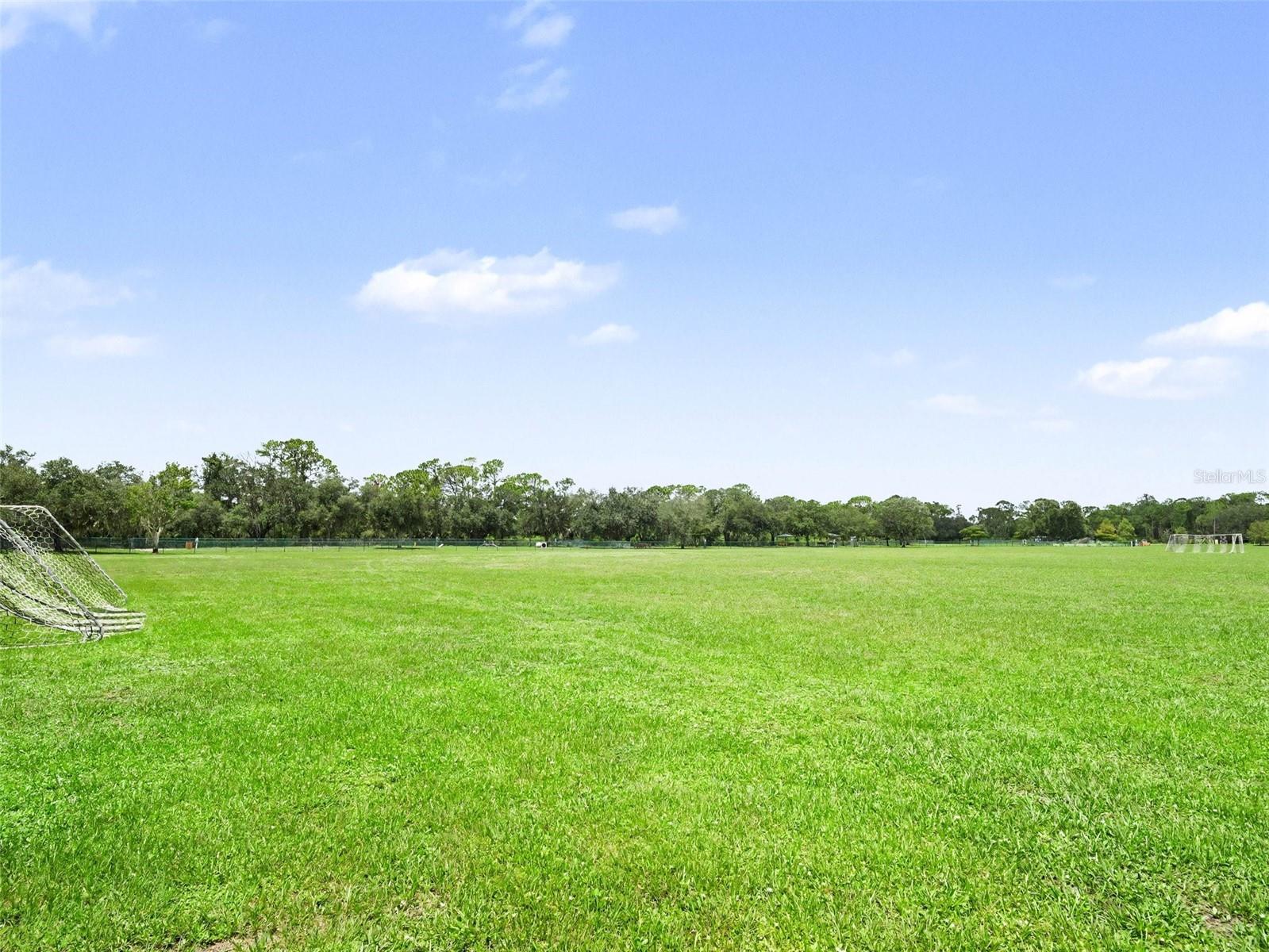 14146 Cattle Egret Pl Property Photo 41