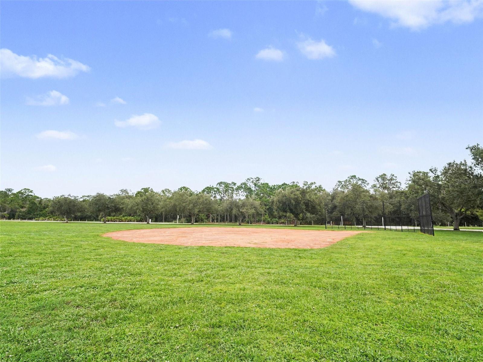 14146 Cattle Egret Pl Property Photo 42