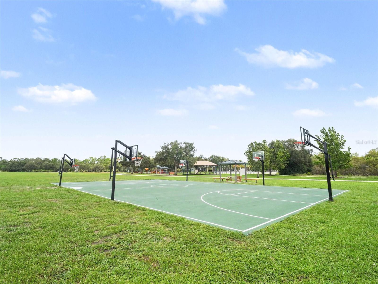 14146 Cattle Egret Pl Property Photo 44