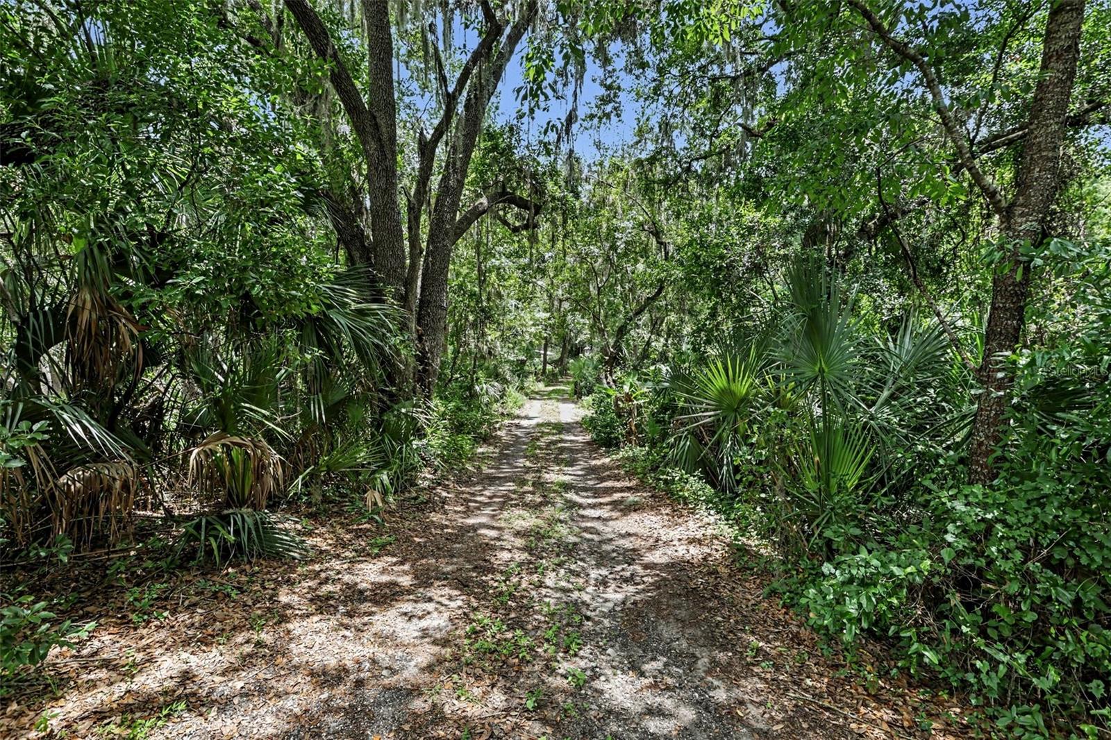 10239 Lyons Ave Property Photo 27