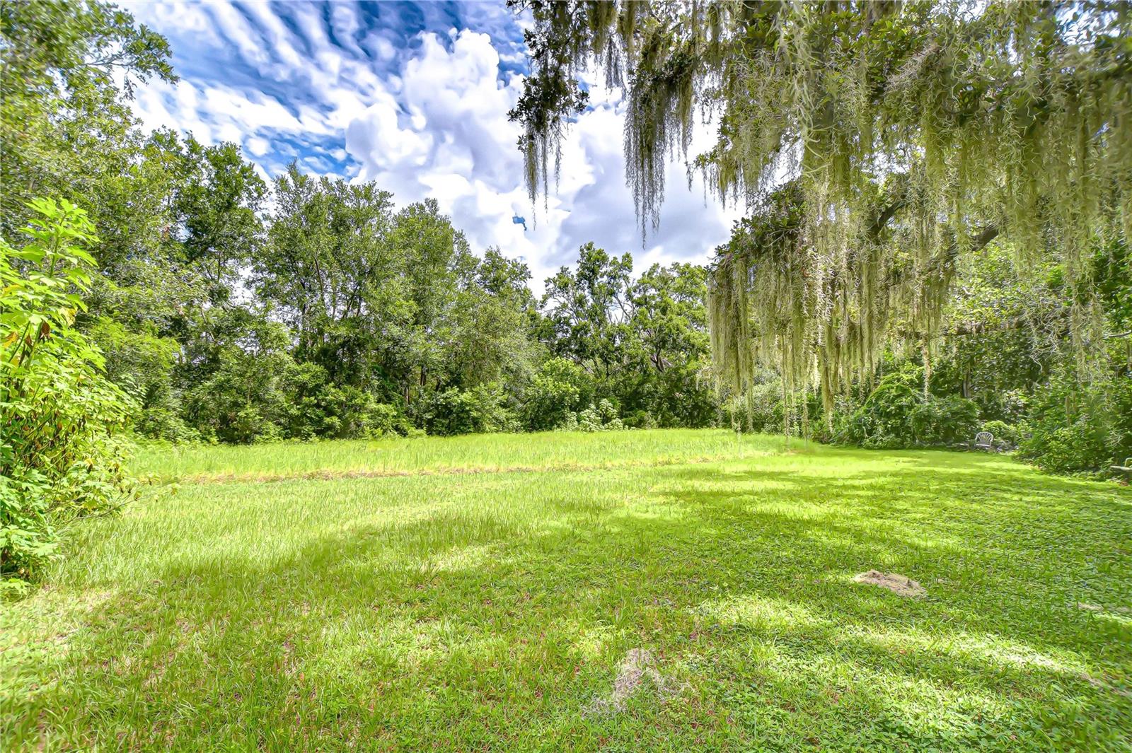 10904 Hackney Dr Property Photo 11