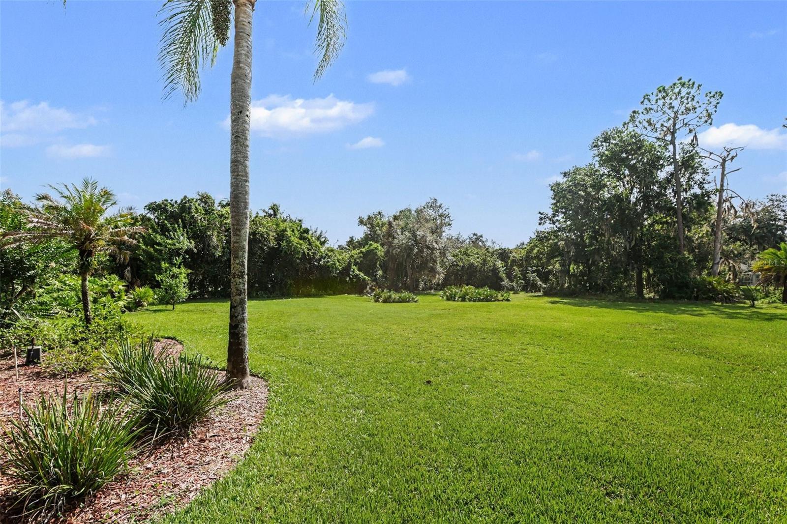 2912 Hampton Place Ct Property Photo 44