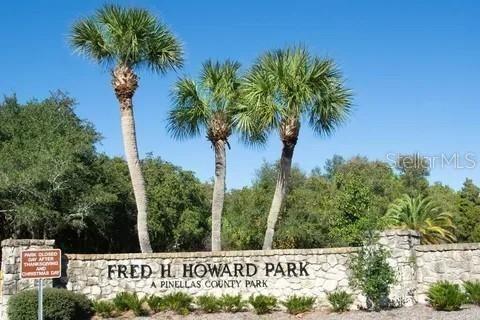 1250 S Pinellas Ave #1008 Property Photo 49