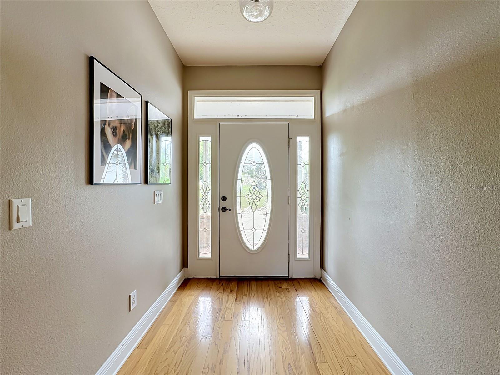 11319 Tralee Dr Property Photo 6