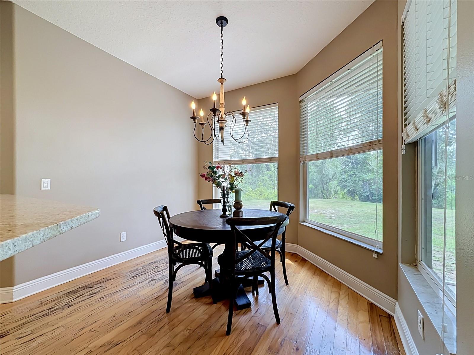 11319 Tralee Dr Property Photo 14
