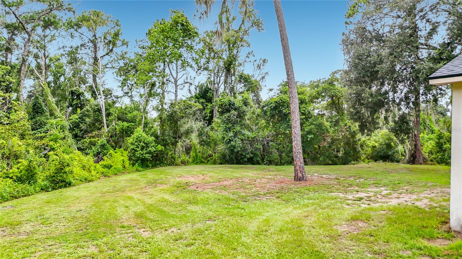 11319 Tralee Dr Property Photo 39