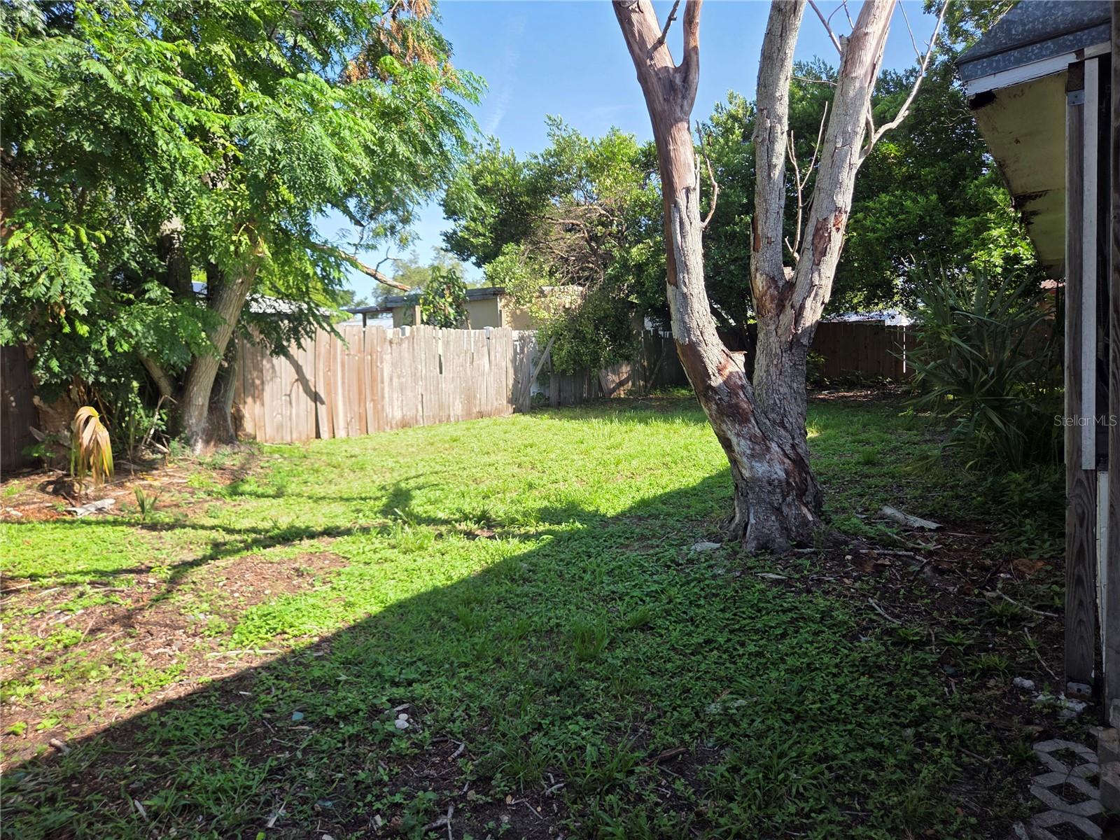 907 Cutler Dr Property Photo 3