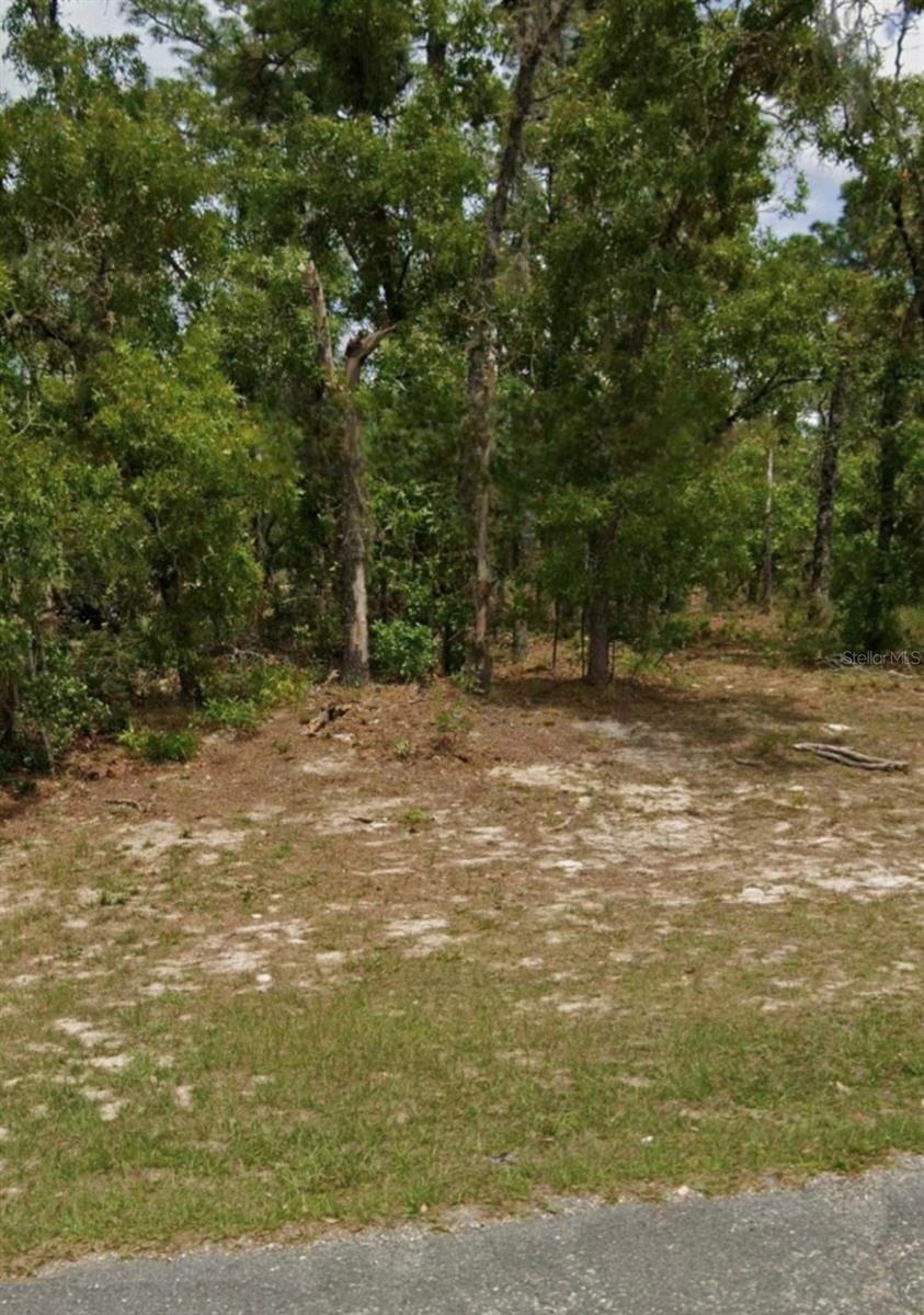 5689 N Summerfield Pt Property Photo 1