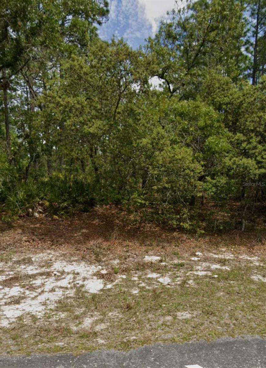 5732 N Summerfield Pt Property Photo 1