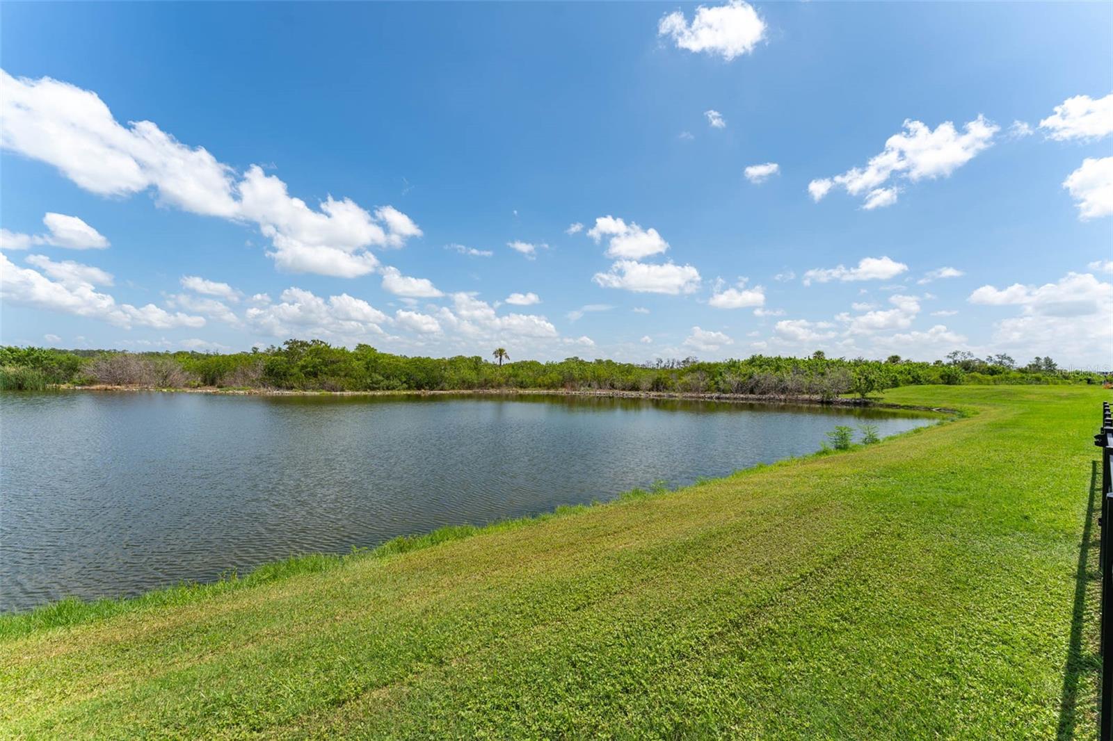 3719 Lively Coral Pl Property Photo 51