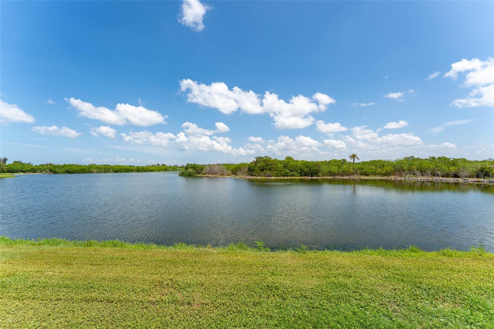 3719 Lively Coral Pl Property Photo 52