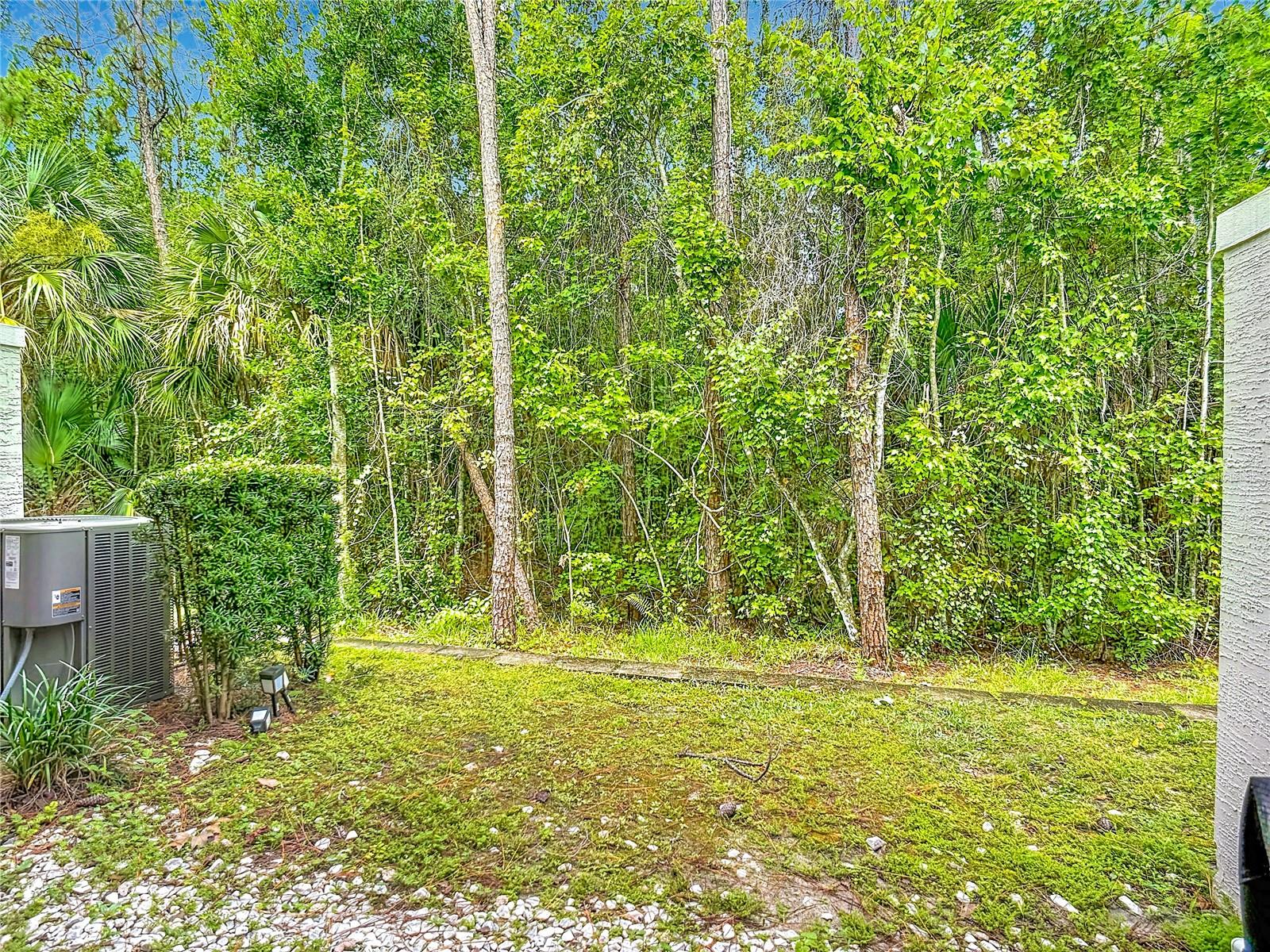 8223 Roseville Rd Property Photo 44