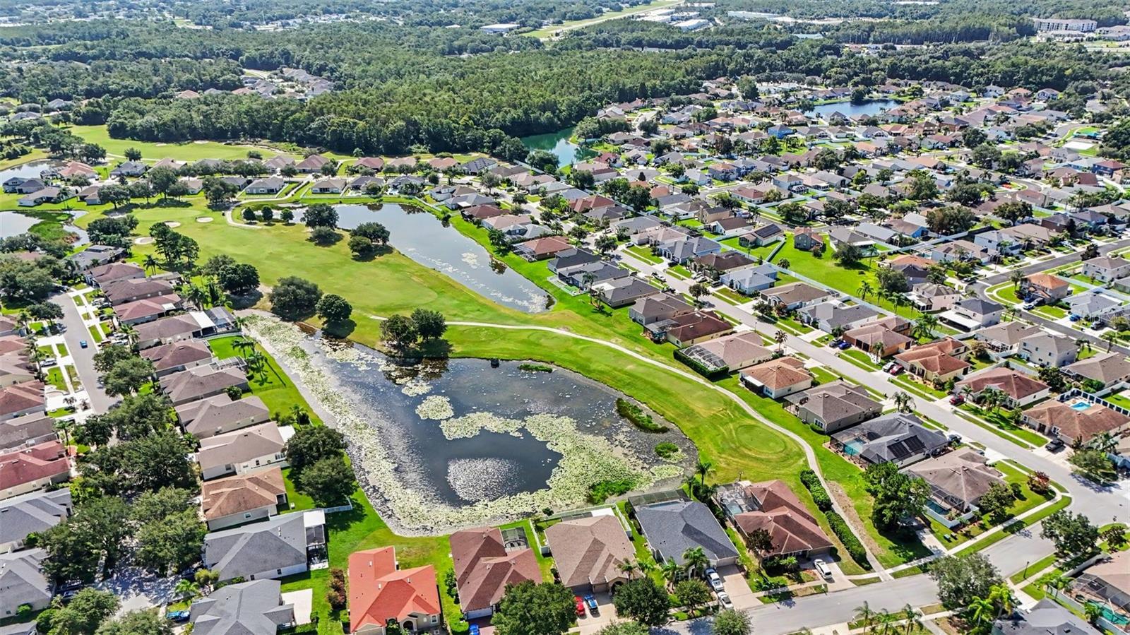 25741 Risen Star Dr Property Photo 27