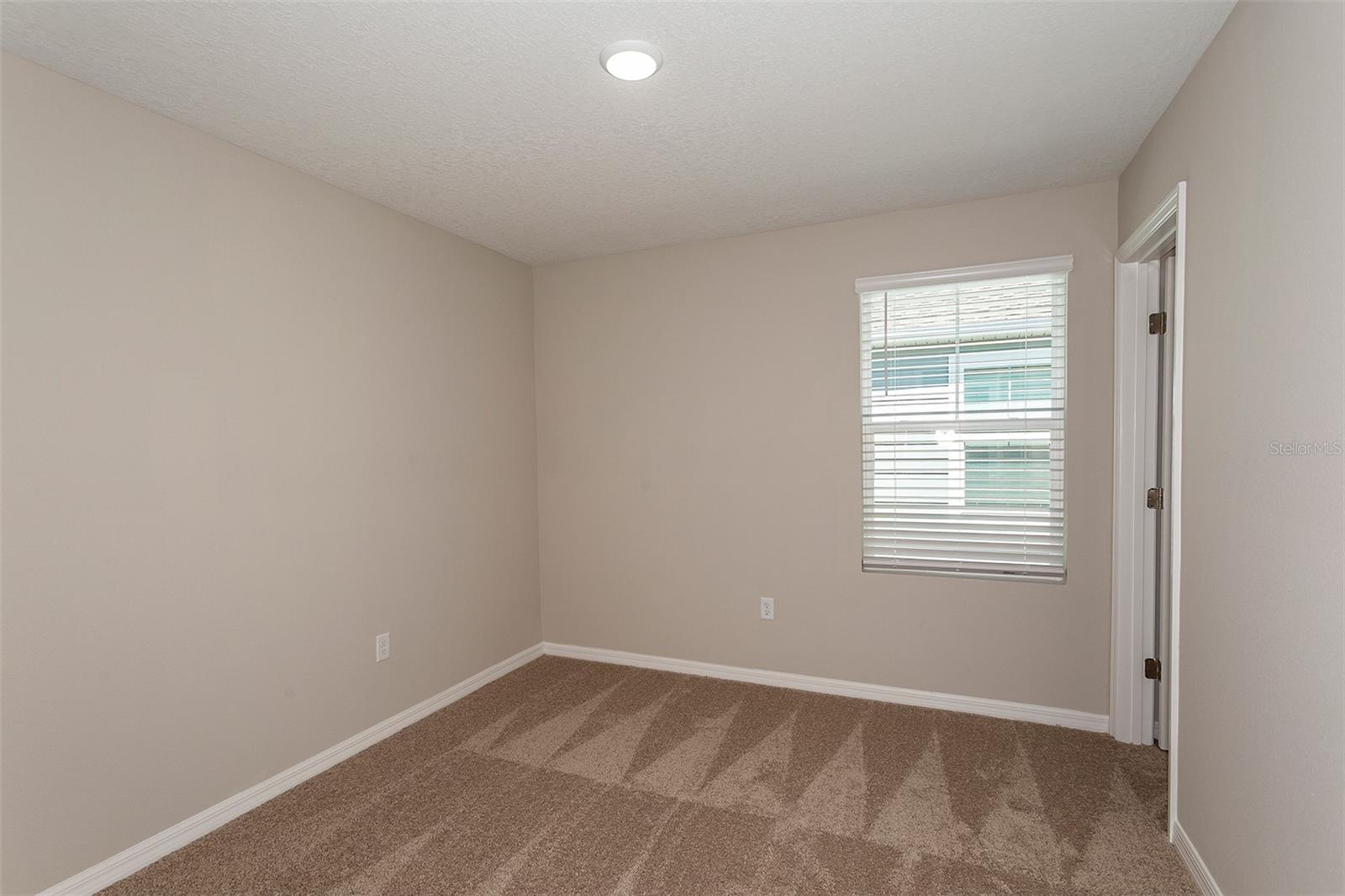 9092 Belleview Forest Pass Property Photo 18