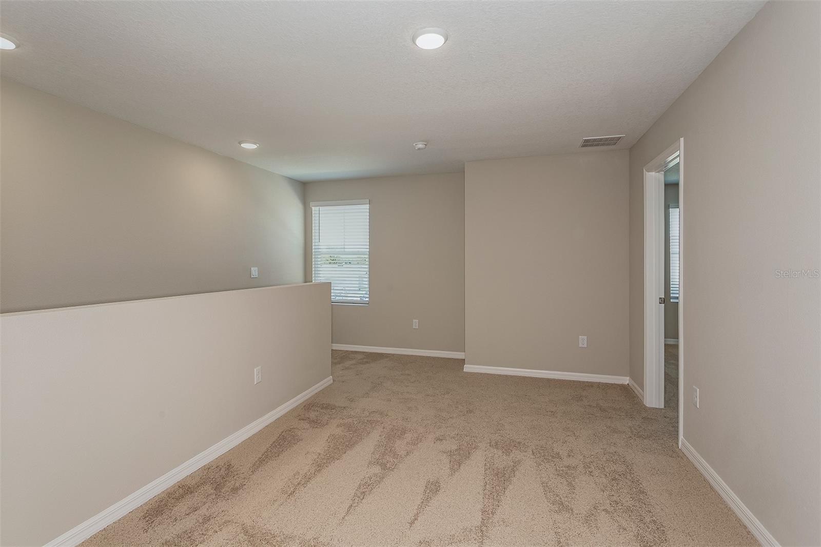 9092 Belleview Forest Pass Property Photo 20