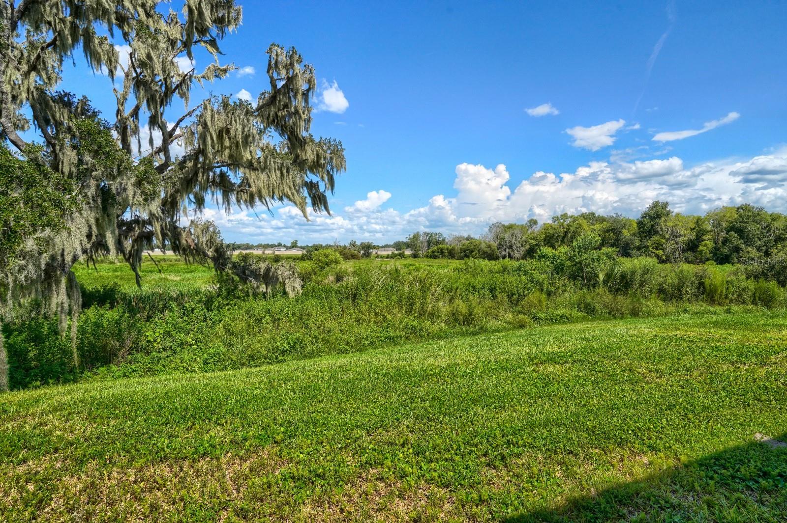 2332 Citrus Bloom Dr Property Photo 32
