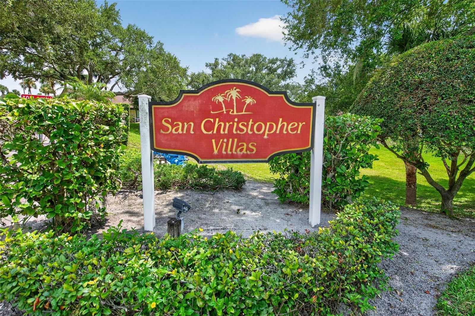 1311 Powderpuff Dr #1009 Property Photo 23