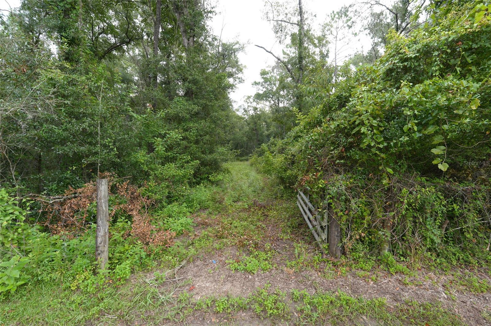 13205 S Crater Ter Property Photo 4