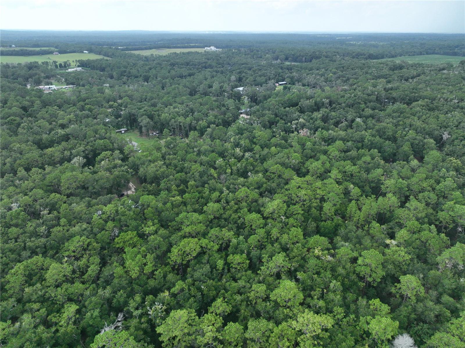 13205 S Crater Ter Property Photo 14