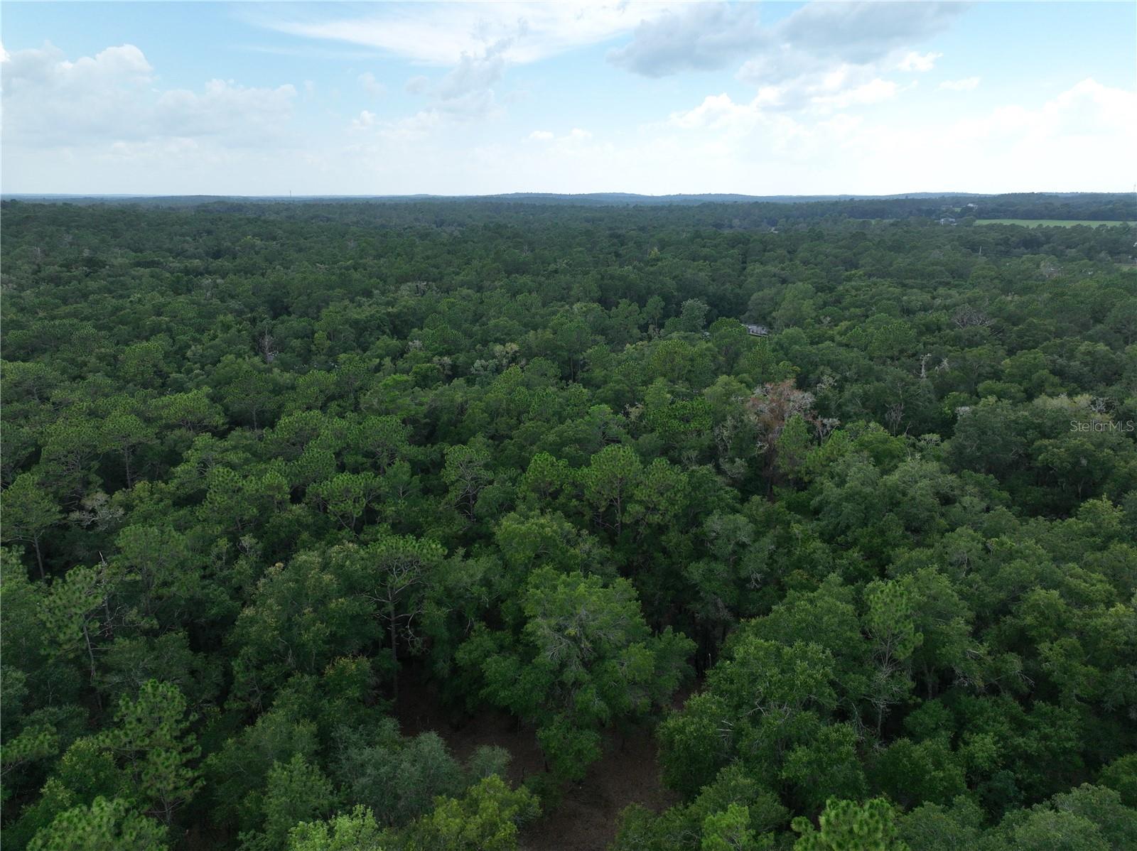 13205 S Crater Ter Property Photo 16