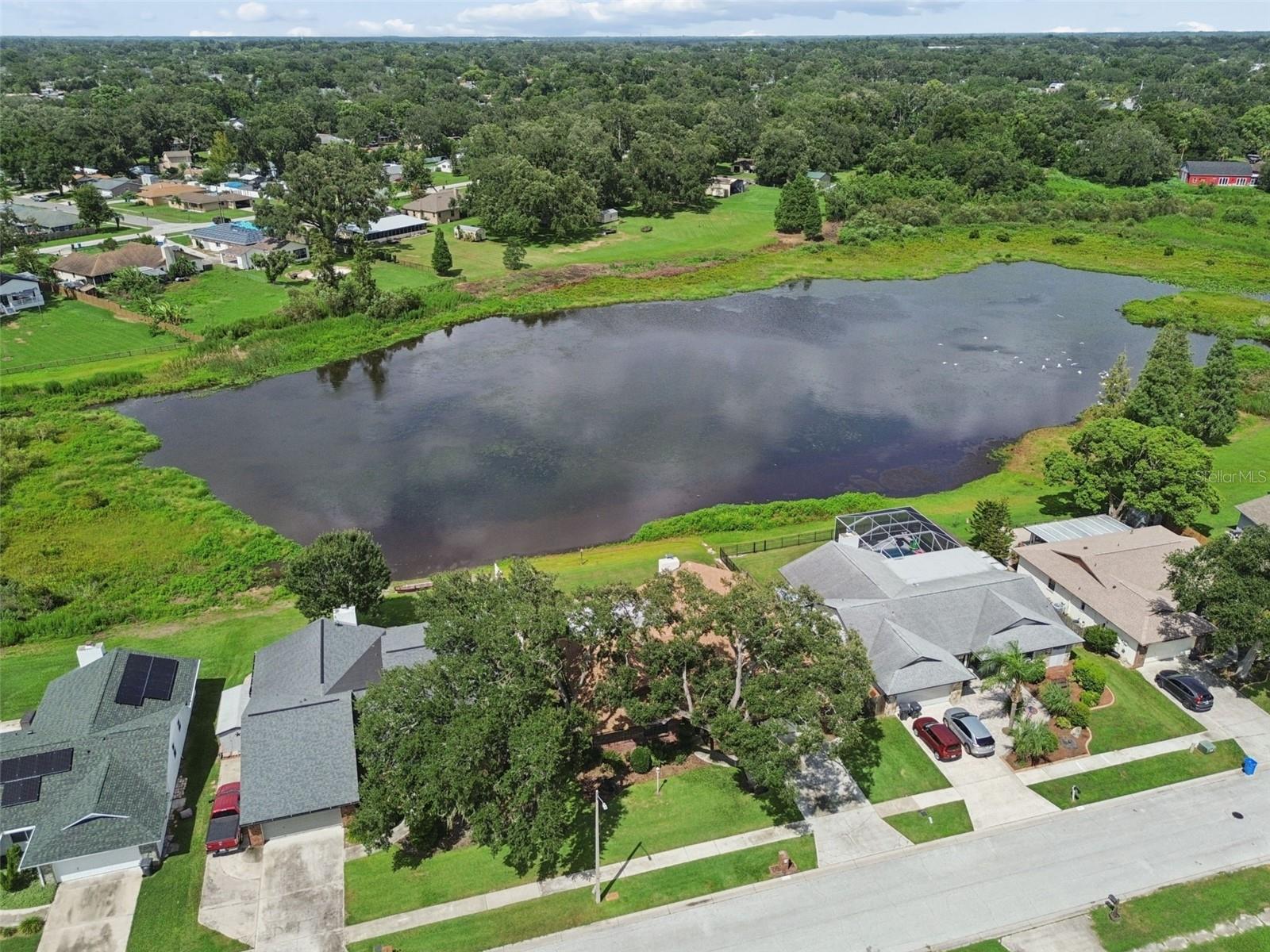 653 Timber Pond Dr Property Photo 68