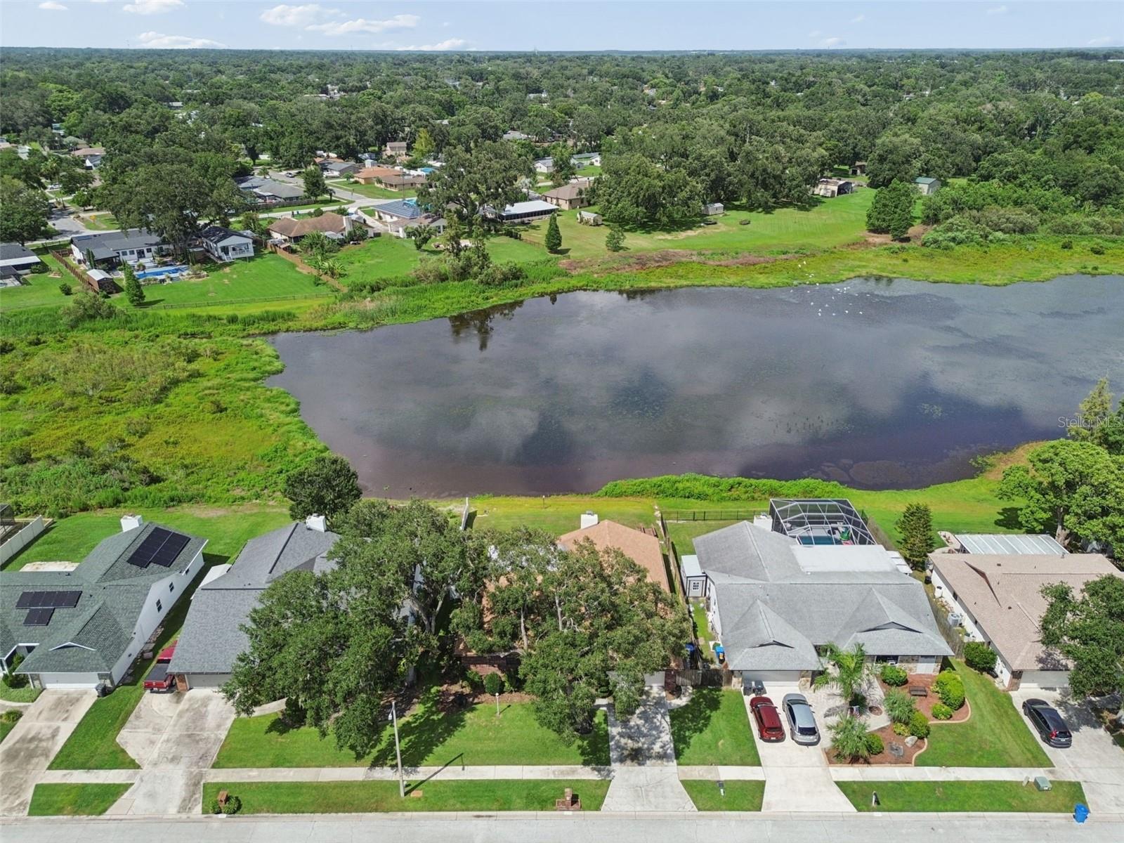 653 Timber Pond Dr Property Photo 69