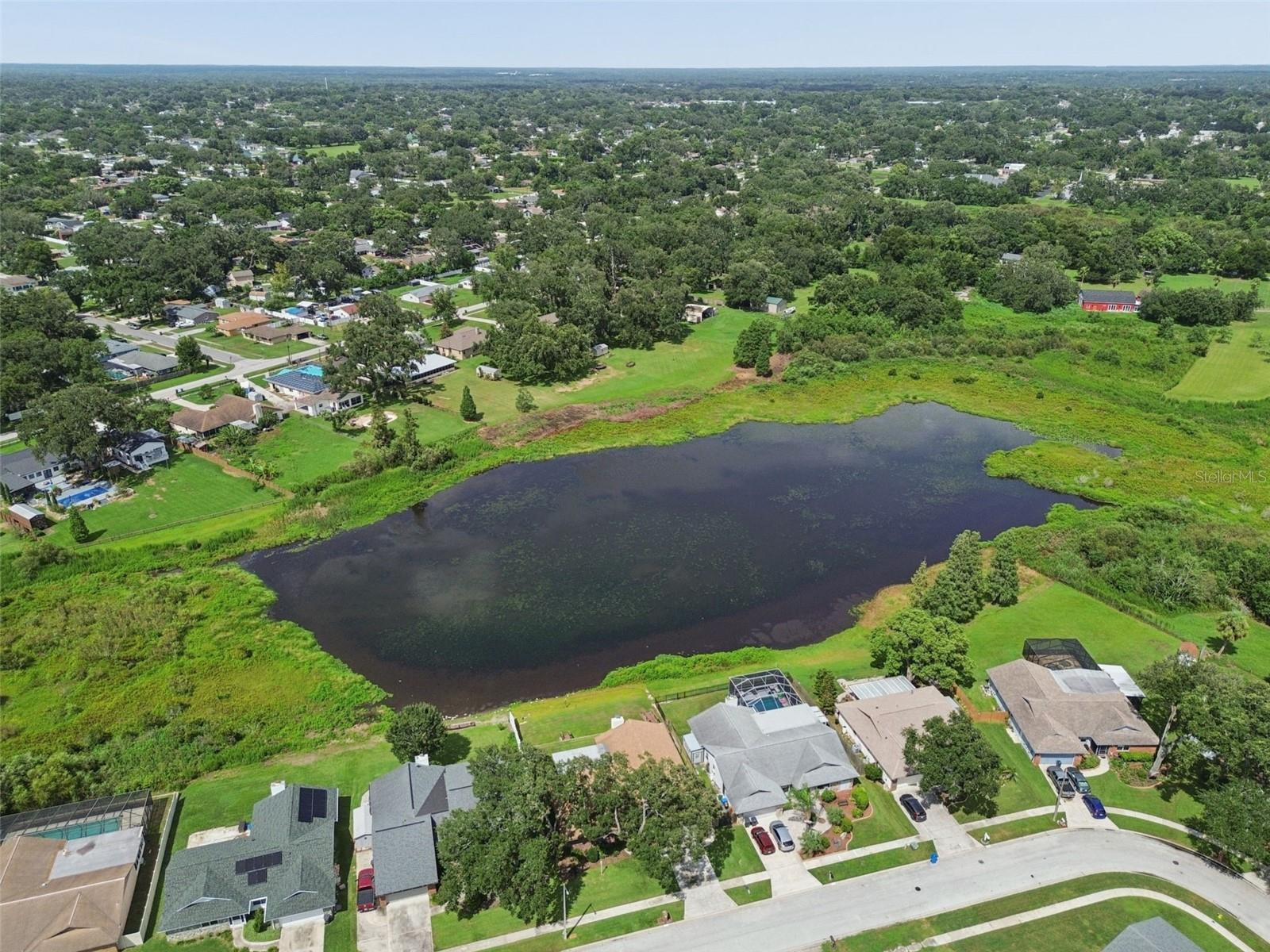 653 Timber Pond Dr Property Photo 72