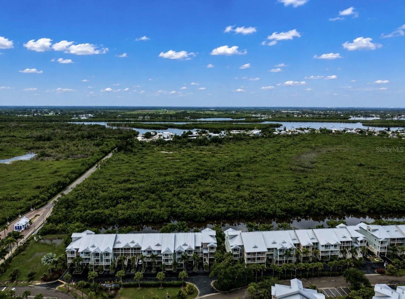3228 Mangrove Point Dr Property Photo 4