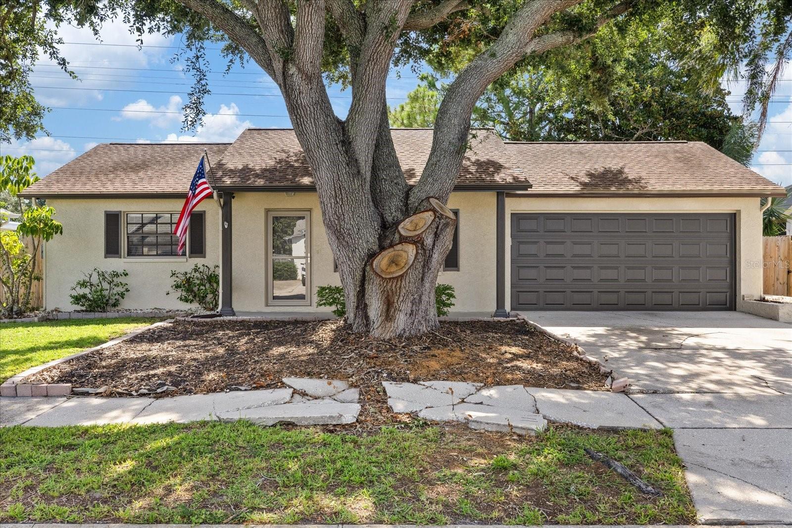 1310 Mandarin Dr Property Photo 4