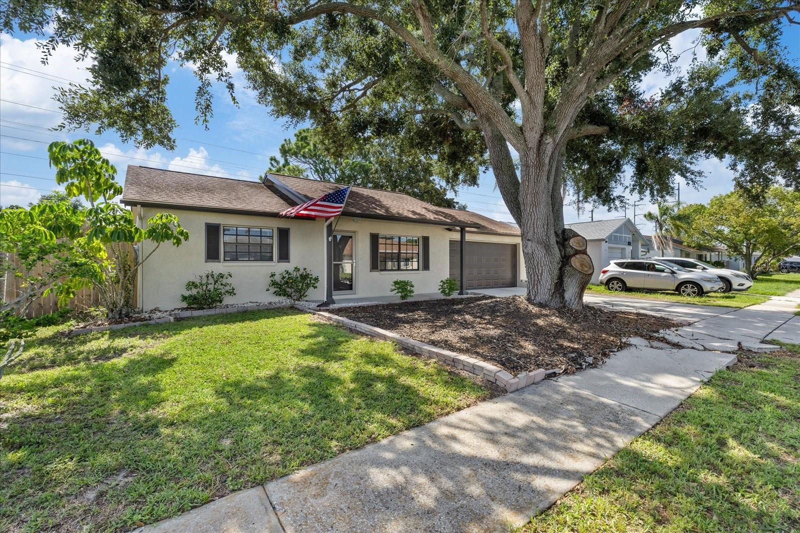 1310 Mandarin Dr Property Photo 6