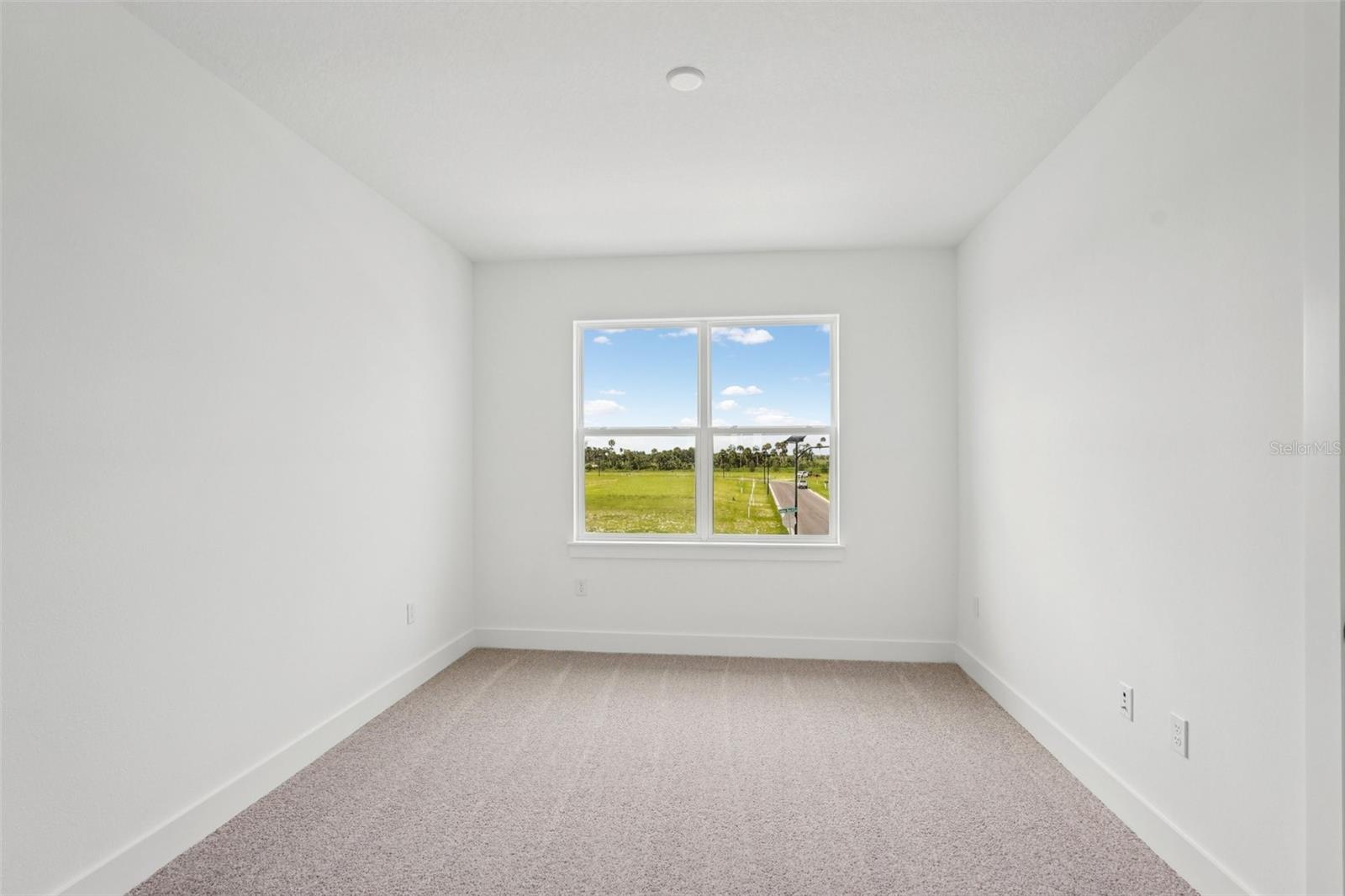 8234 Golden Beach Ct Property Photo 31