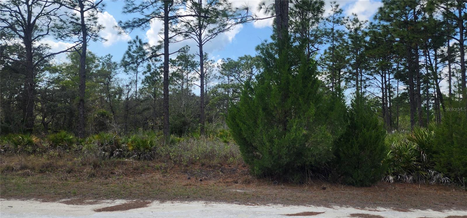 18119 Parrot Rd Property Photo 1