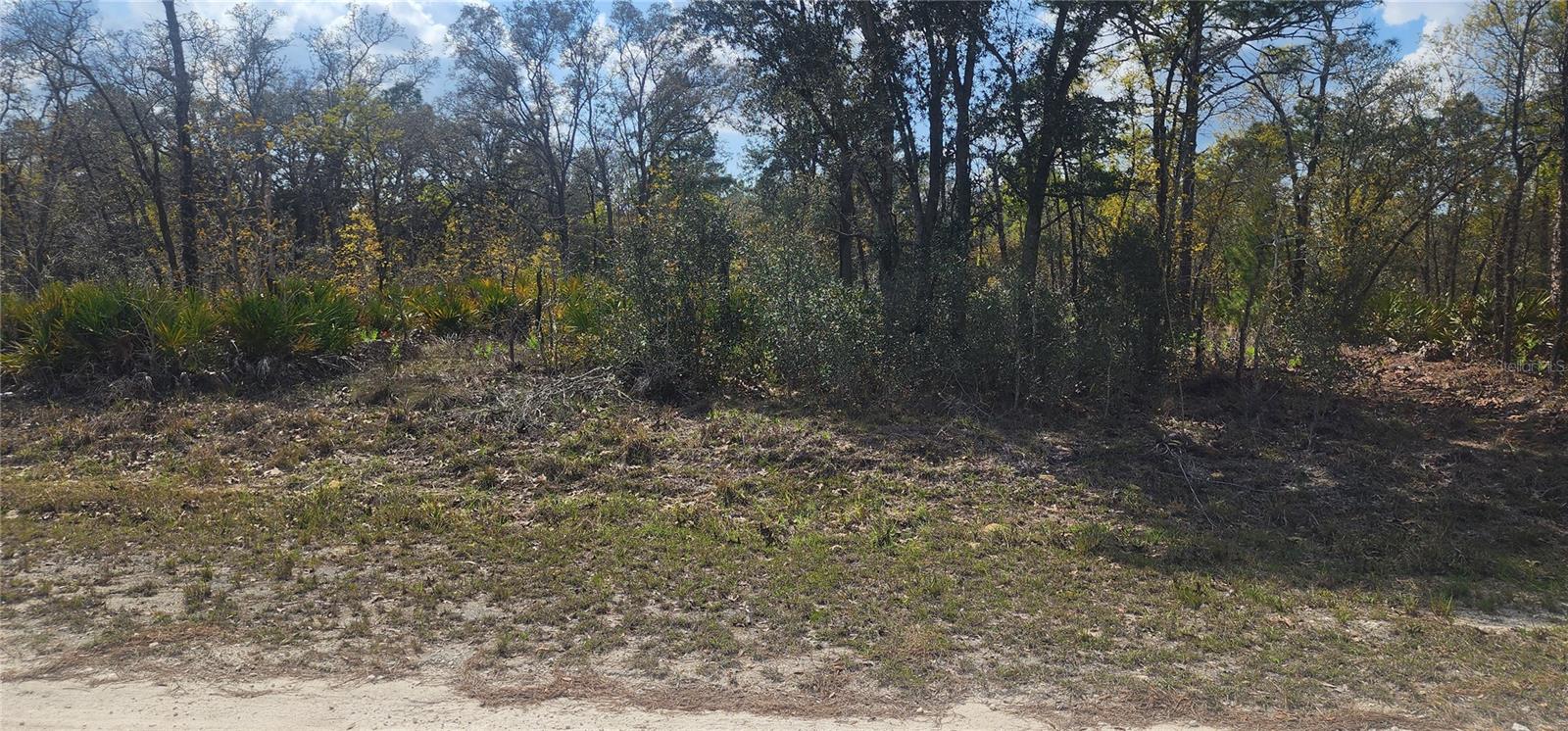 18043 RAMSEY RD Property Photo 1