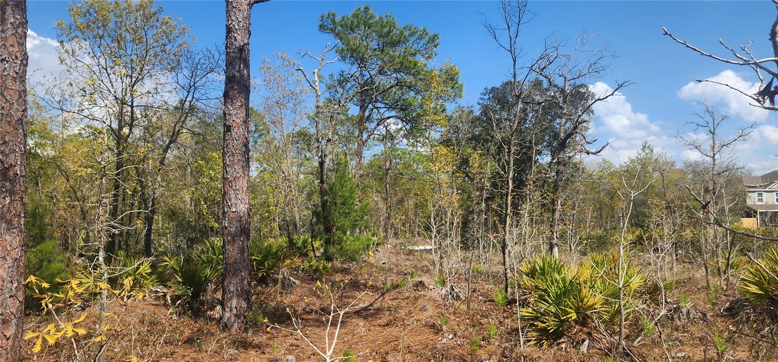 18043 Ramsey Rd Property Photo 2