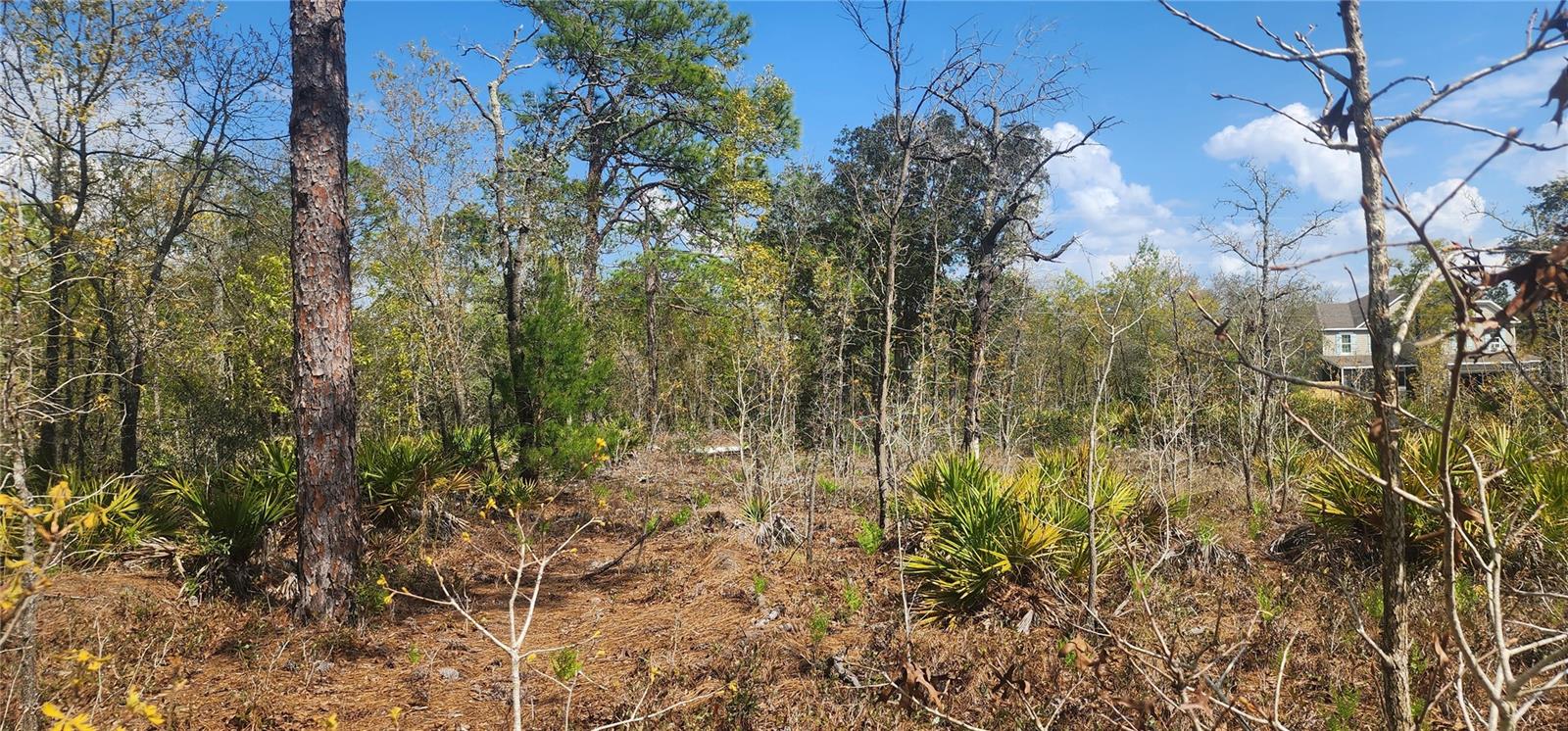 18043 Ramsey Rd Property Photo 3