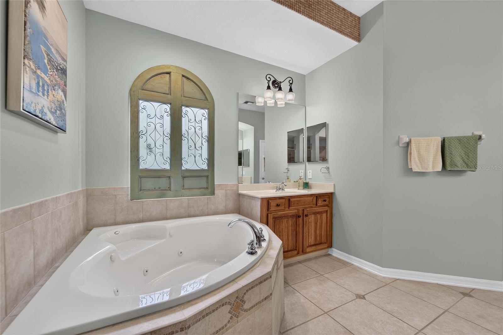 5226 Brighton Shore Dr Property Photo 54