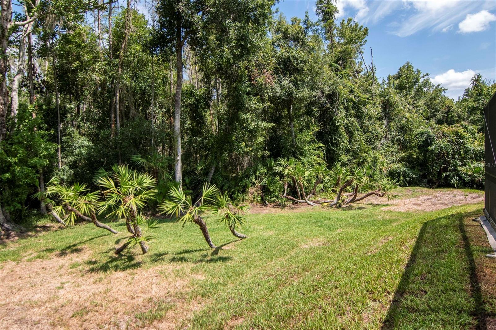 9301 Brookhurst Ct Property Photo 46