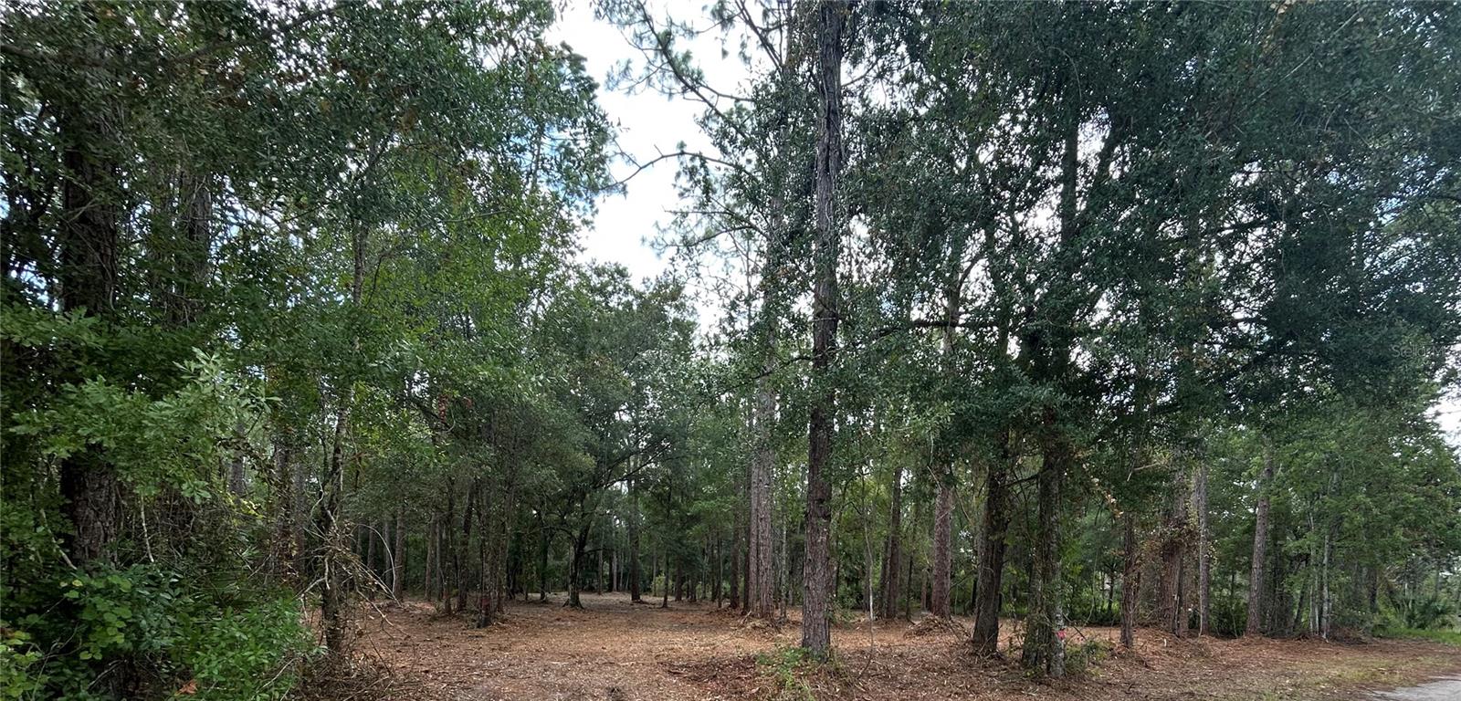 Westpoint Dr Property Photo 1