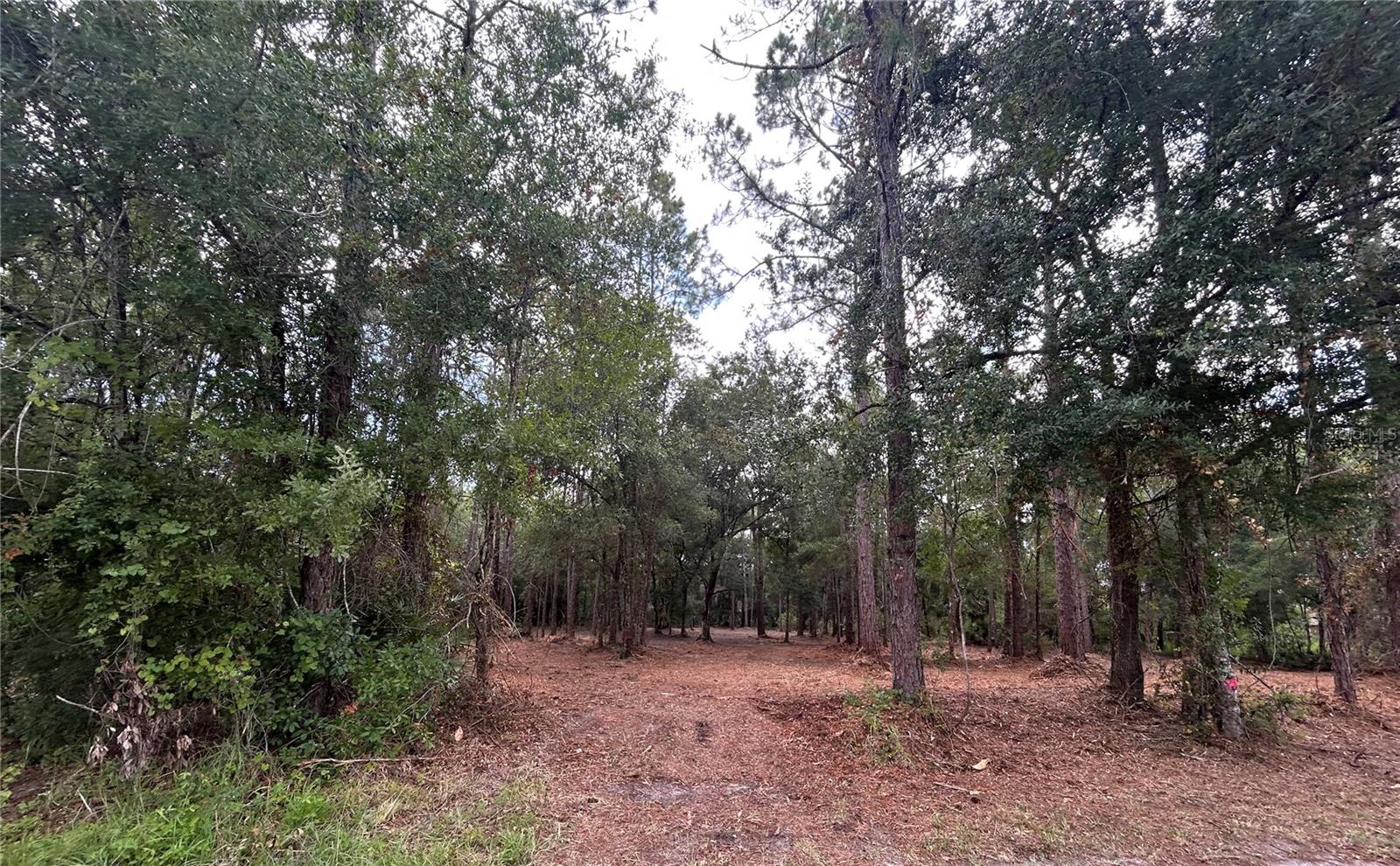 Westpoint Dr Property Photo 2
