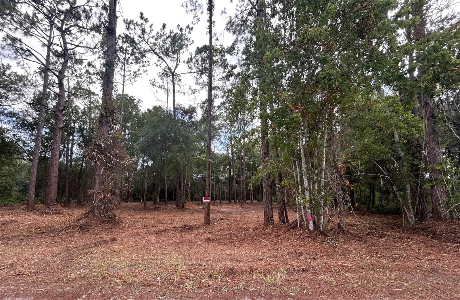Westpoint Dr Property Photo 3