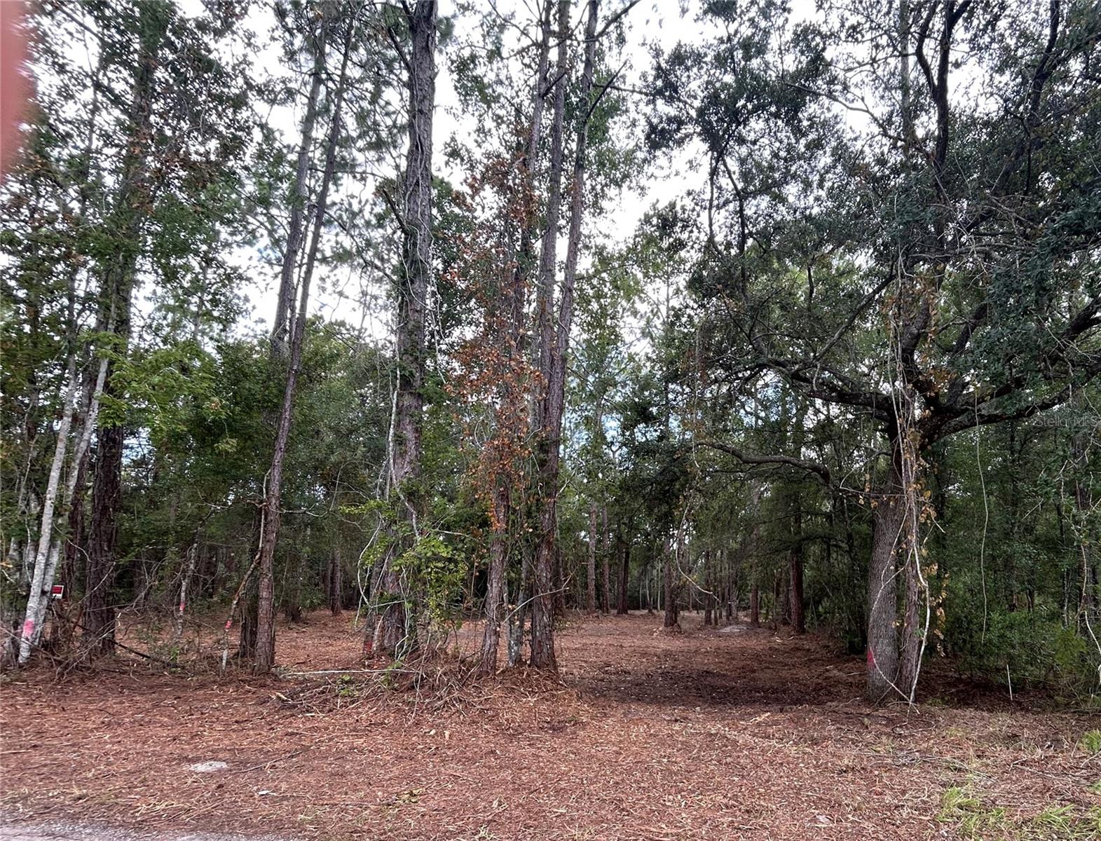 Westpoint Dr Property Photo 4