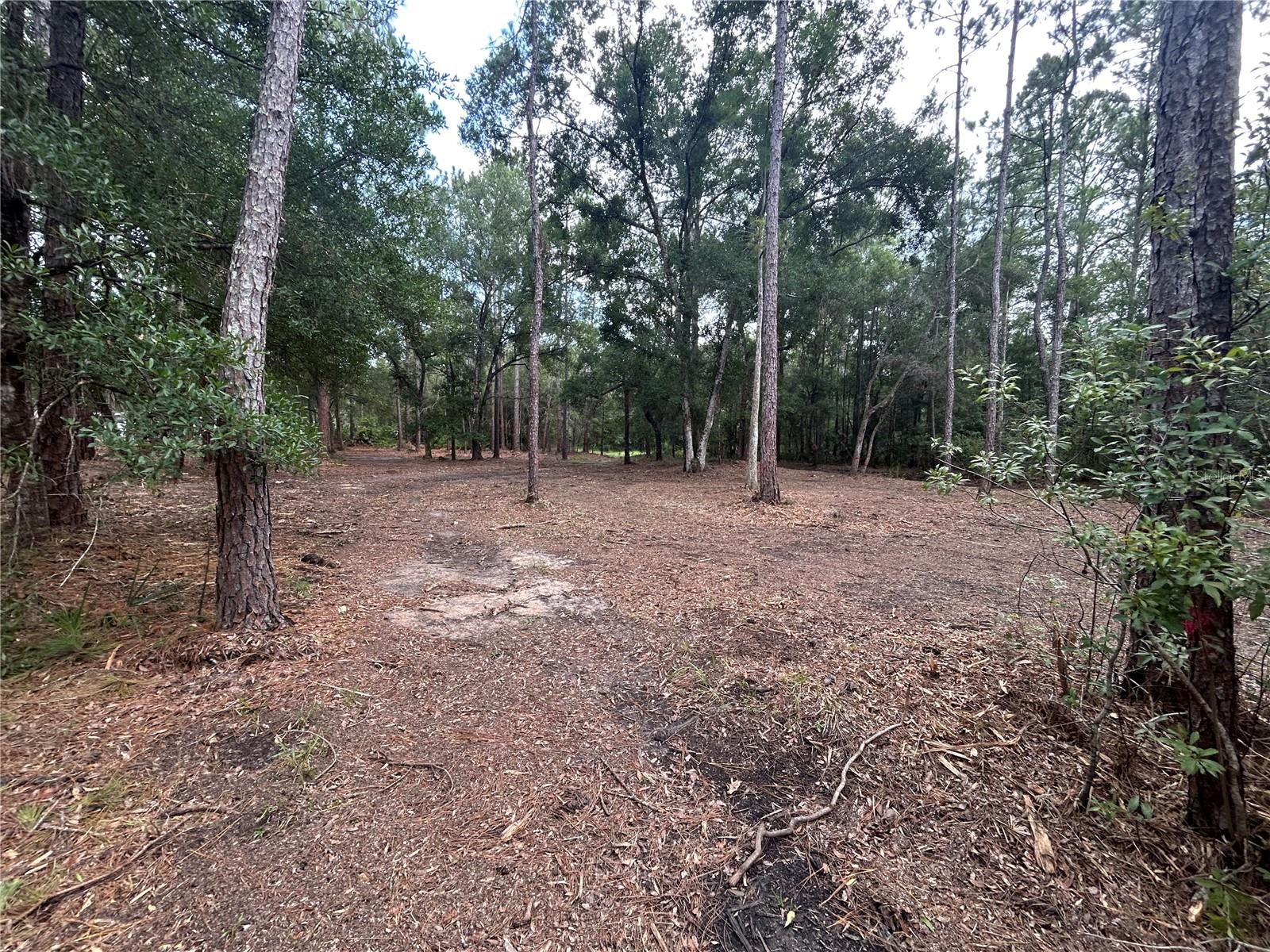 Westpoint Dr Property Photo 6