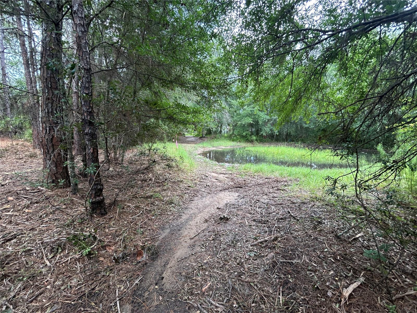 Westpoint Dr Property Photo 12