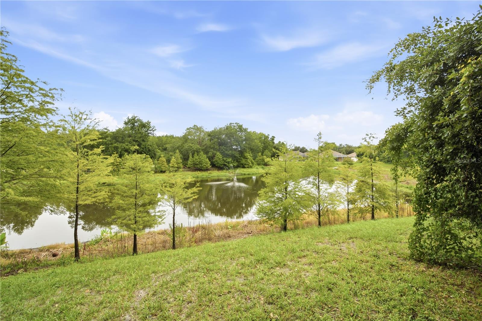18126 Birdwater Dr Property Photo 22