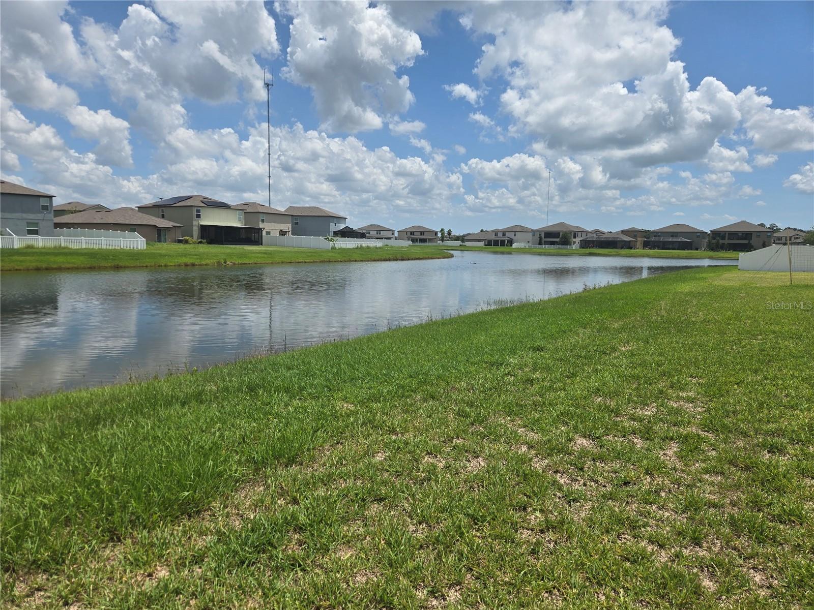 12730 Mangrove Forest Dr Property Photo 29