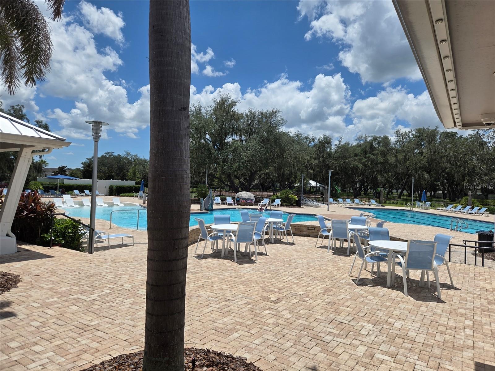 12730 Mangrove Forest Dr Property Photo 33